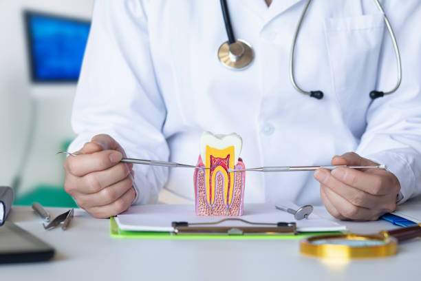 Best Walk-In Emergency Dentist in Marceline, MO